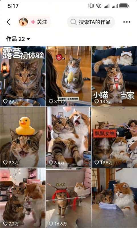 AI宠物Vlog条条点赞过万,星图商单报价万级