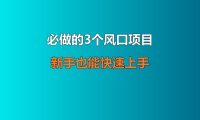 必做的 3 个风口项目,新手也能快速上手