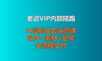 【老迟VIP内部陪跑】AI漫剧全套运营课，软件+素材+起号全流程交付