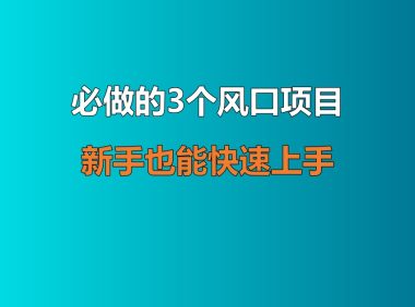 必做的 3 个风口项目,新手也能快速上手