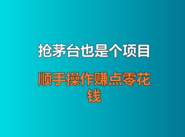抢茅台也是个项目？不暴力，顺手操作赚点零花钱