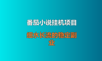 番茄小说挂机项目，不是暴富的副业，就是个细水长流的稳定副业
